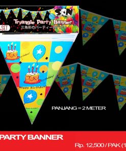 TRIANGLE PARTY BANNER