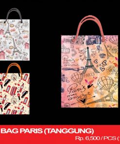 SHOPPING BAG FANCY (TANGGUNG)